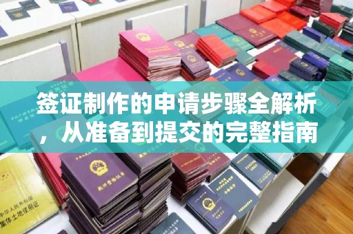 克孜勒苏柯尔克孜签证制作的申请步骤全解析，从准备到提交的完整指南