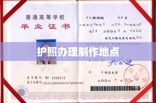 克孜勒苏柯尔克孜护照办理制作地点