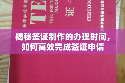 克孜勒苏柯尔克孜揭秘签证制作的办理时间，如何高效完成签证申请