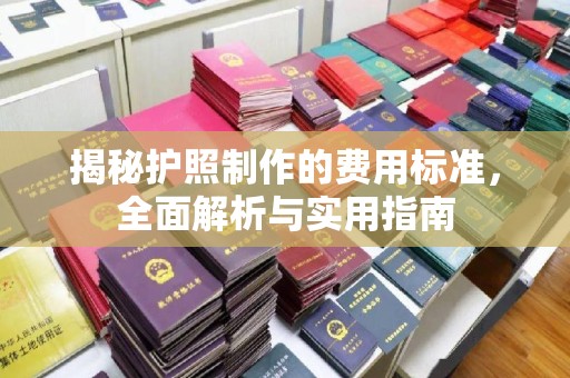 克孜勒苏柯尔克孜揭秘护照制作的费用标准，全面解析与实用指南