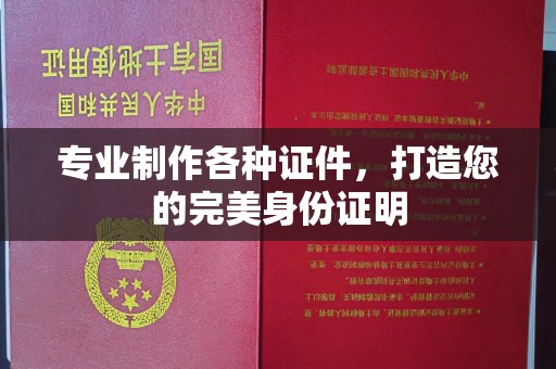 克孜勒苏柯尔克孜专业制作各种证件，打造您的完美身份证明