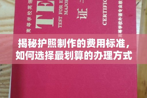 克孜勒苏柯尔克孜揭秘护照制作的费用标准，如何选择最划算的办理方式？