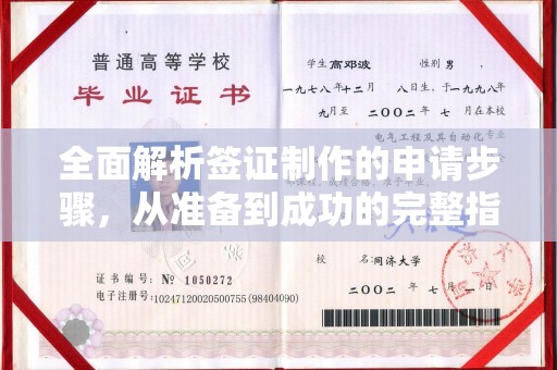 克孜勒苏柯尔克孜全面解析签证制作的申请步骤，从准备到成功的完整指南