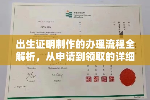 克孜勒苏柯尔克孜出生证明制作的办理流程全解析，从申请到领取的详细指南
