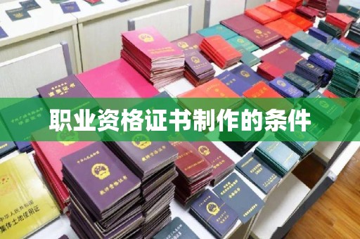 克孜勒苏柯尔克孜职业资格证书制作的条件