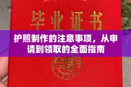 克孜勒苏柯尔克孜护照制作的注意事项，从申请到领取的全面指南
