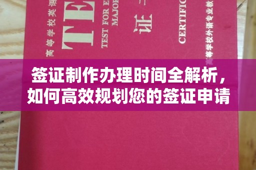 克孜勒苏柯尔克孜签证制作办理时间全解析，如何高效规划您的签证申请流程