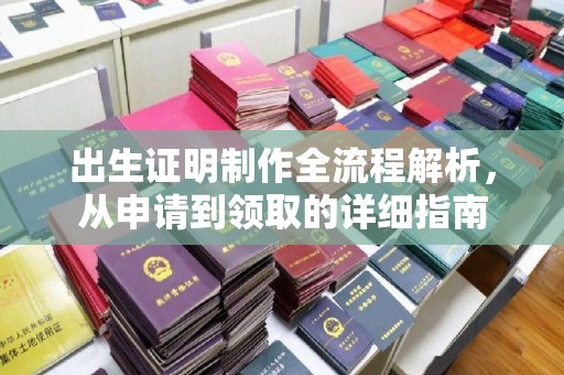 克孜勒苏柯尔克孜出生证明制作全流程解析，从申请到领取的详细指南
